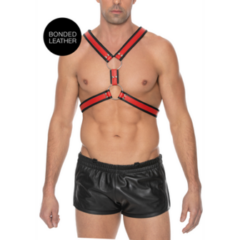 Scottish Leather Harness - L/XL