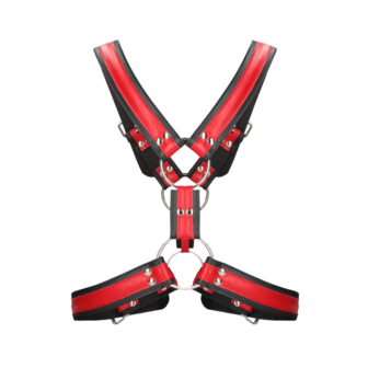 Scottish Leather Harness - L/XL