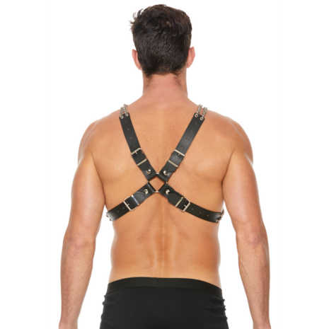 Chain and Chain Harness