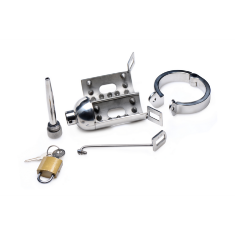 Spiked Chamber Chastity Cage