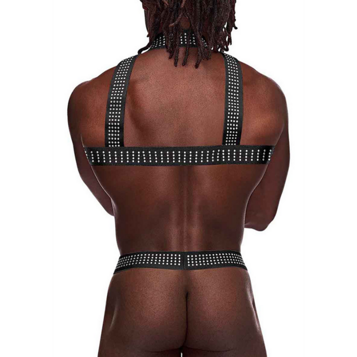 Elastic Harness with Studs - S One Size